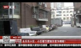 周浦女子爆料新闻,揭露惊人内幕，真相令人震惊