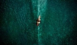 海洋深处在线观看,跟随海洋深处在线之旅